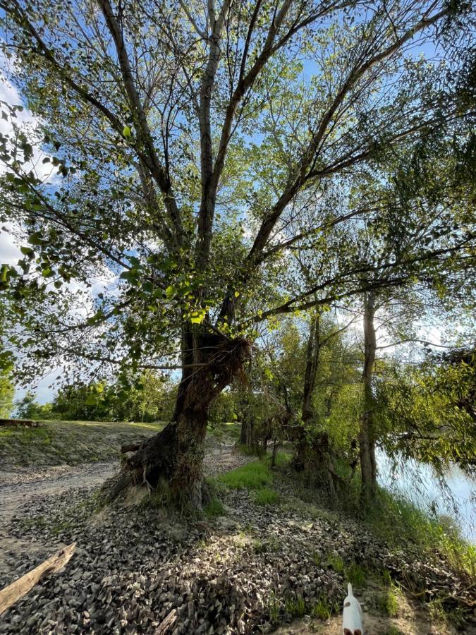 At The River Guest House Kroonstad Esterno foto