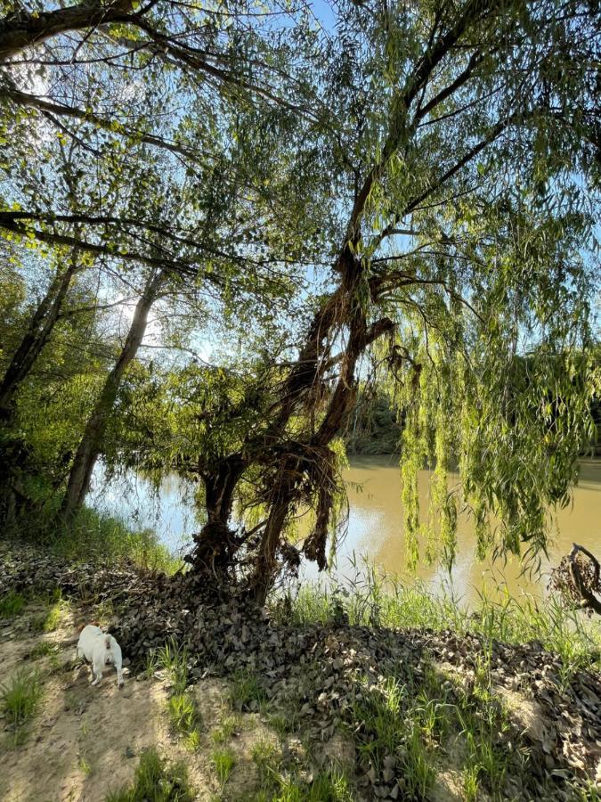 At The River Guest House Kroonstad Esterno foto
